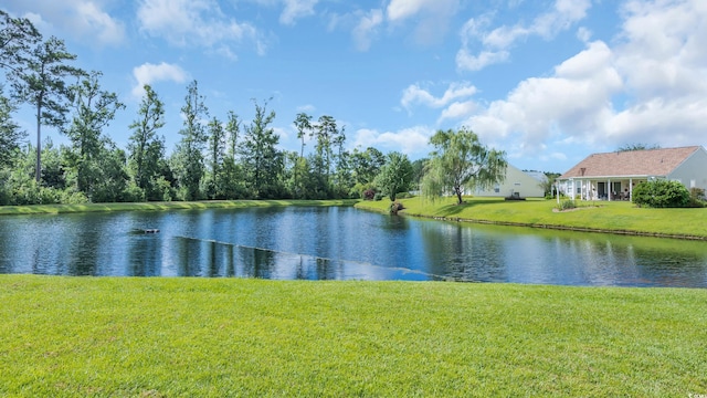 526 Eagleton Ct, Longs, SC 29568 - photo 18