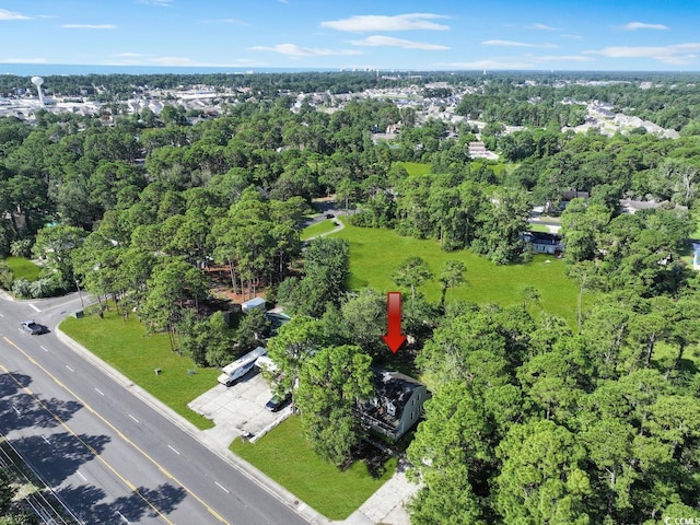 1601 Dick Pond Rd, Surfside Beach, SC 29575 - photo 33