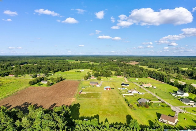 813 Sisters Rd, Loris, SC 29569 - photo 37