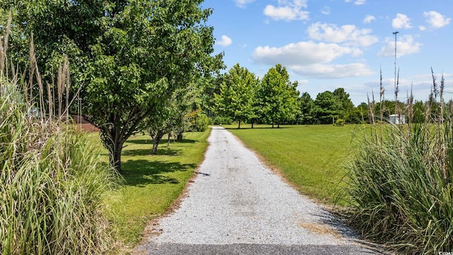 3037 Hughes Gasque Rd, Aynor, SC 29511 - photo 3