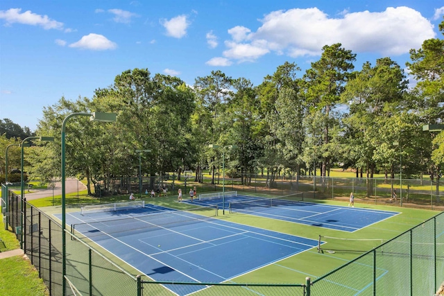 4657 Fringetree Dr Unit 6-C, Murrells Inlet, SC 29576 - photo 26
