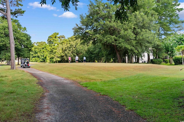 4657 Fringetree Dr Unit 6-C, Murrells Inlet, SC 29576 - photo 32