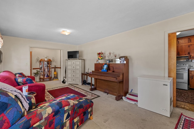 1041 Causey Rd, Conway, SC 29526 - photo 10