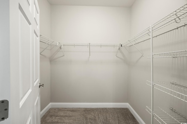 901 Knoll Shores Ct Unit 304, Murrells Inlet, SC 29576 - photo 18