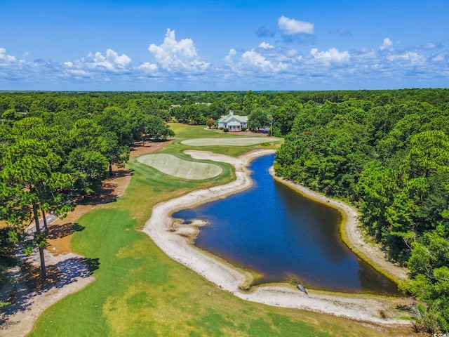 54 Bald Cypress Ct, Pawleys Island, SC 29585 - photo 29
