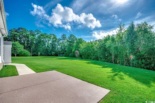 1008 Dublin Dr, Conway, SC 29526 - photo 33