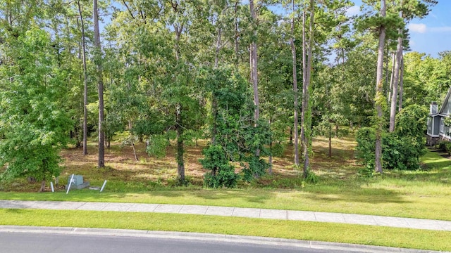 592 Chamberlin Rd, Myrtle Beach, SC 29588 - photo 2