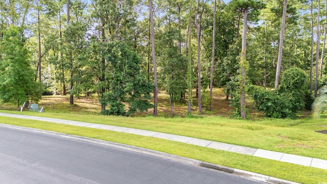 592 Chamberlin Rd, Myrtle Beach, SC 29588 - photo 1