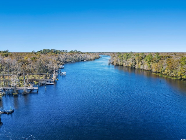 592 Chamberlin Rd, Myrtle Beach, SC 29588 - photo 17