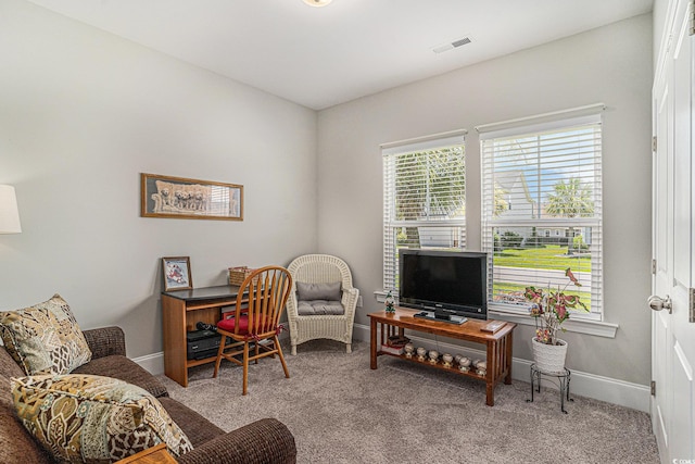 1715 Palmetto Palm Dr, Myrtle Beach, SC 29579 - photo 11