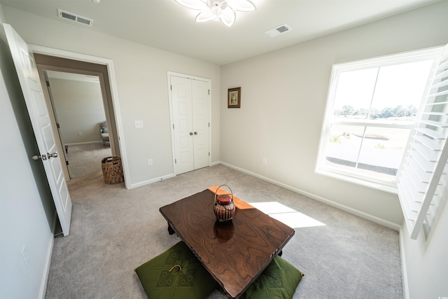 264 Carolina Lakes Blvd, Myrtle Beach, SC 29588 - photo 26