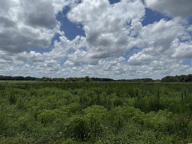 29.63ACRES- Society Hill Rd, Darlington, SC 29532 - photo 7