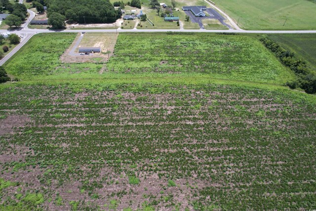 29.63ACRES- Society Hill Rd, Darlington, SC 29532 - photo 5