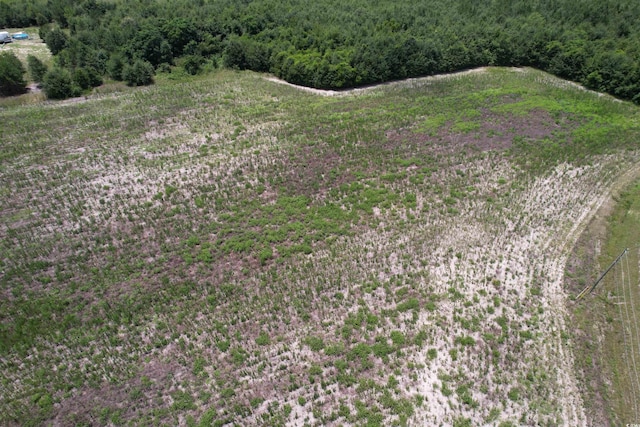 21.48ACRES- Harmony Hall Dr, Darlington, SC 29532 - photo 2