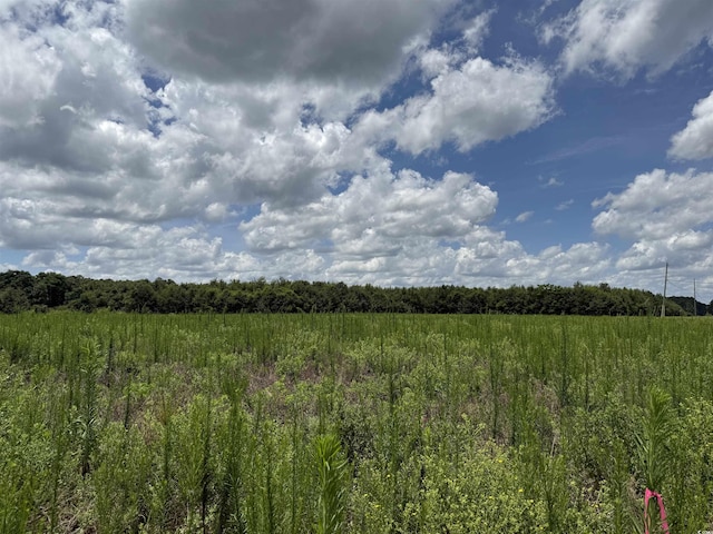 21.48ACRES- Harmony Hall Dr, Darlington, SC 29532 - photo 8