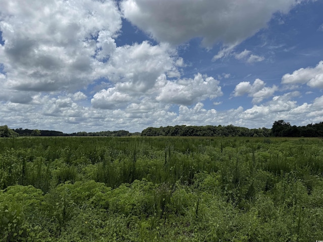 21.48ACRES- Harmony Hall Dr, Darlington, SC 29532 - photo 7