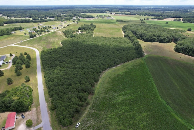 21.48ACRES- Harmony Hall Dr, Darlington, SC 29532 - photo 5