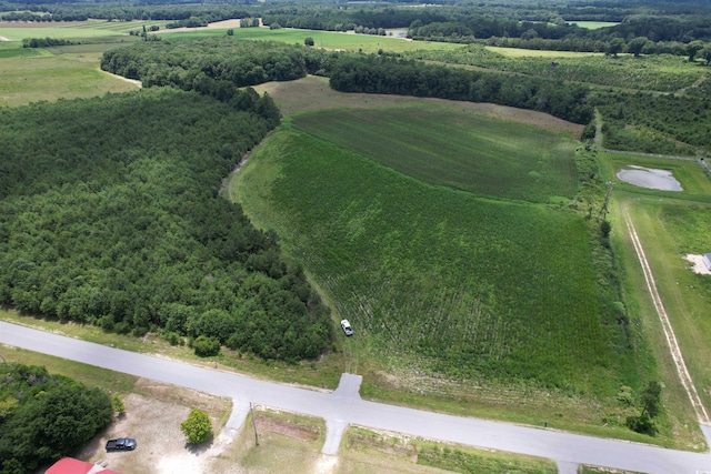 21.48ACRES- Harmony Hall Dr, Darlington, SC 29532 - photo 3