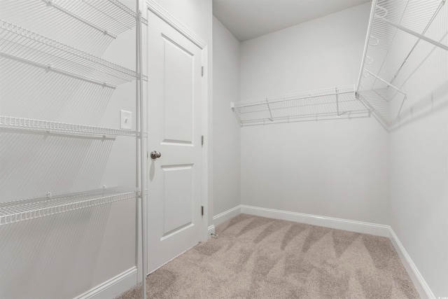 2490 Campton Loop, Conway, SC 29527 - photo 17