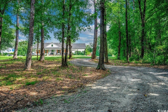 3555 Marsden Rd, Aynor, SC 29511 - photo 33