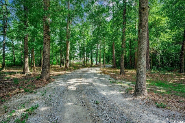 3555 Marsden Rd, Aynor, SC 29511 - photo 32