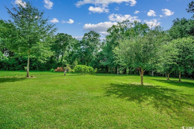 3555 Marsden Rd, Aynor, SC 29511 - photo 30
