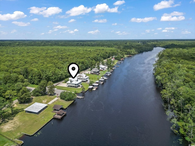 478 Riverfront Rd, Conway, SC 29527 - photo 38