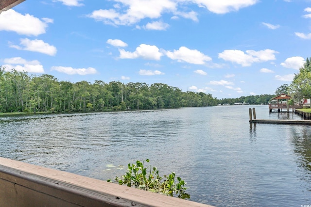 478 Riverfront Rd, Conway, SC 29527 - photo 29
