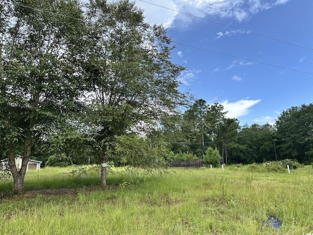 7023 New Bridge Rd, Nichols, SC 29581 - photo 1