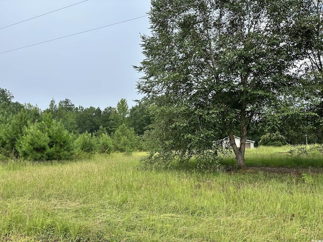 7023 New Bridge Rd, Nichols, SC 29581 - photo 3