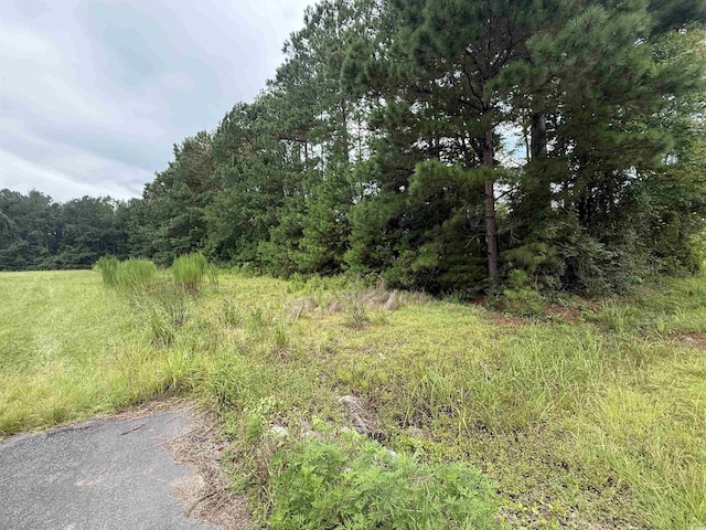 3082 Wise Rd, Conway, SC 29526 - photo 6