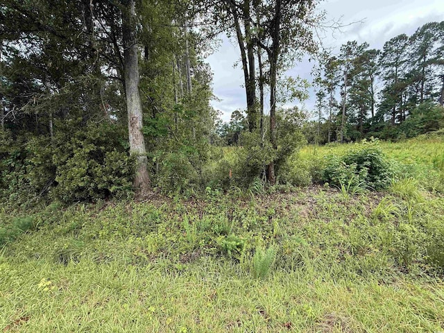 3082 Wise Rd, Conway, SC 29526 - photo 5