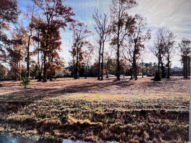 990 Robert M Grissom Pkwy, Myrtle Beach, SC 29577 - photo 4