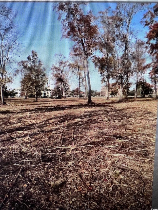 990 Robert M Grissom Pkwy, Myrtle Beach, SC 29577 - photo 2