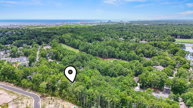 1237 Clipper Rd, North Myrtle Beach, SC 29582 - photo 34