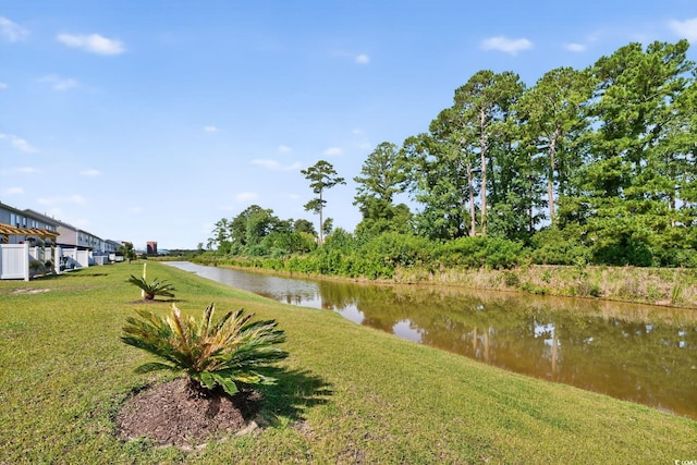 209 Goldenrod Cir, Little River, SC 29566 - photo 26