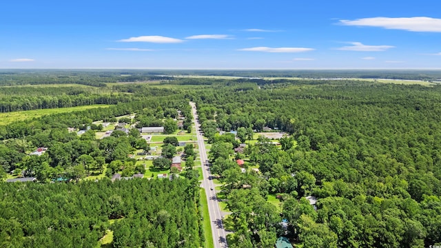 3974 N Fraser St, Georgetown, SC 29440 - photo 36