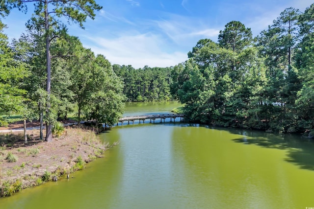 504 Pinehurst Ln Unit 18J, Pawleys Island, SC 29585 - photo 29