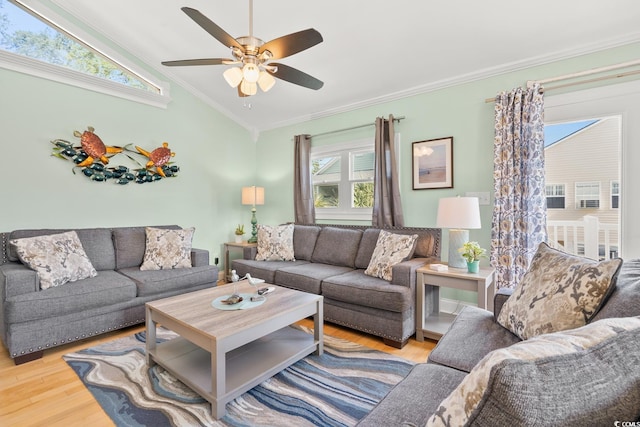 510 20th Ave N, North Myrtle Beach, SC 29582 - photo 7