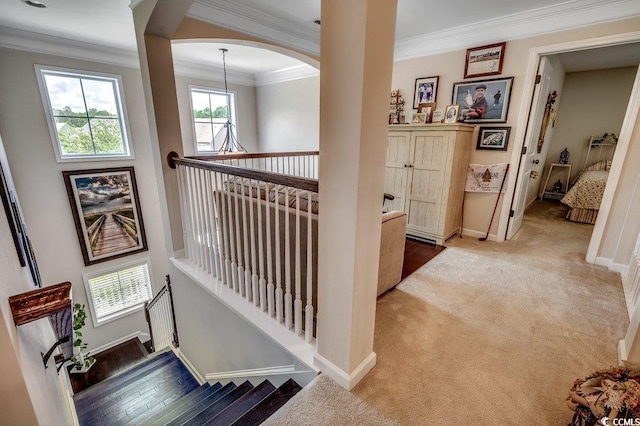 1117 Stargazer Ct, Murrells Inlet, SC 29576 - photo 25