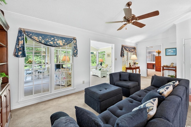 736 Cypress Ln, North Myrtle Beach, SC 29582 - photo 8
