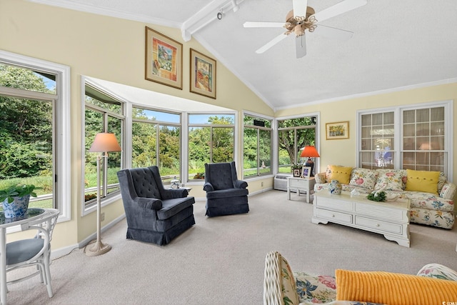 736 Cypress Ln, North Myrtle Beach, SC 29582 - photo 21