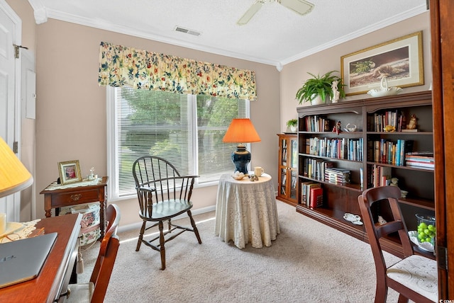 736 Cypress Ln, North Myrtle Beach, SC 29582 - photo 34