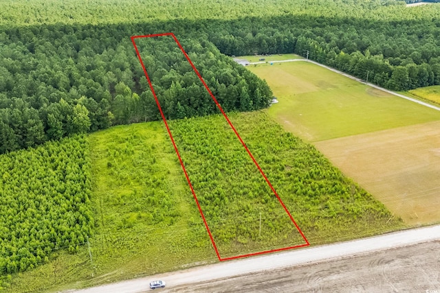 LOT2 W G Rd, Conway, SC 29526 - photo 1