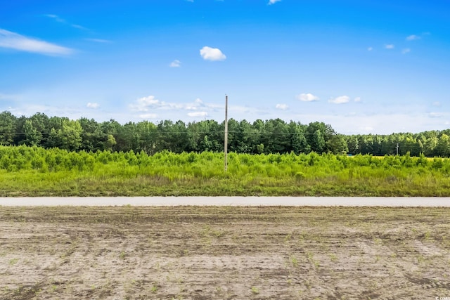 LOT2 W G Rd, Conway, SC 29526 - photo 2