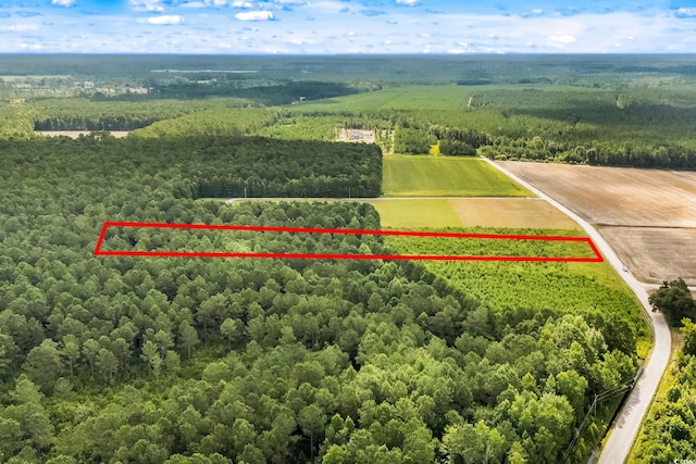LOT2 W G Rd, Conway, SC 29526 - photo 3