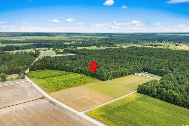 LOT2 W G Rd, Conway, SC 29526 - photo 4