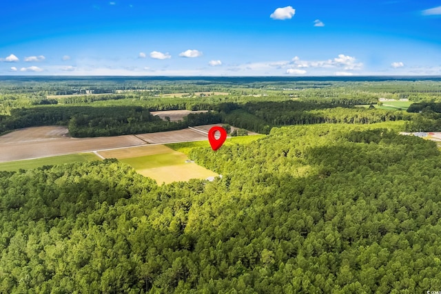 LOT2 W G Rd, Conway, SC 29526 - photo 5