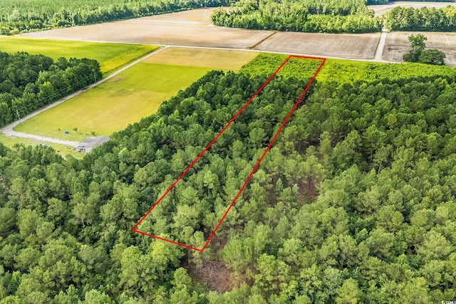 LOT2 W G Rd, Conway, SC 29526 - photo 6