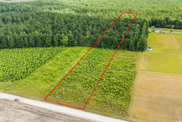 LOT2 W G Rd, Conway, SC 29526 - photo 7